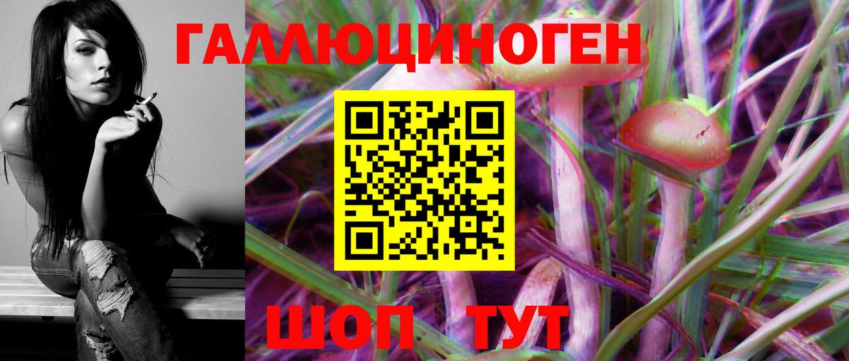 Галлюциногенные грибы Cubensis  Вход с VPN  Советск 